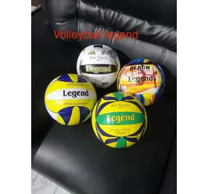 Волейбольный мяч Legenda
