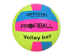 Волейбольный мяч 0039