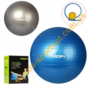 Мяч фитнес 1540( диаметр 65 см)