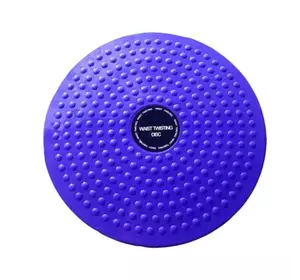 Диск равновесия 0698( пластик) Диск равновесия 0698( пластик)